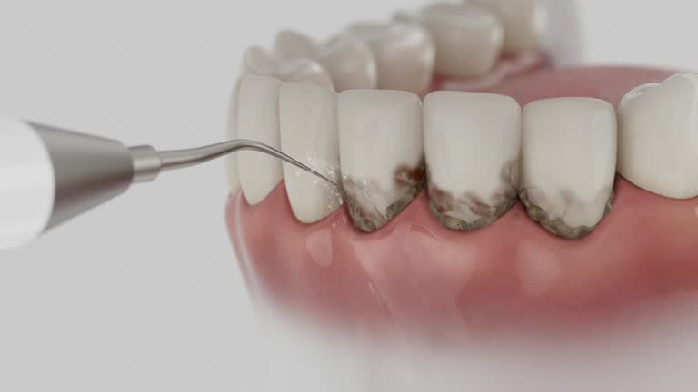 Reliable Dental contractor in Belton, MO by Dentist Open Now